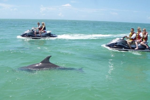 Dolphin sighting on a Destin waverunner dolphin tour