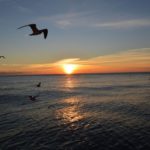 Scenic sunset seen during a Destin sightseeing tour