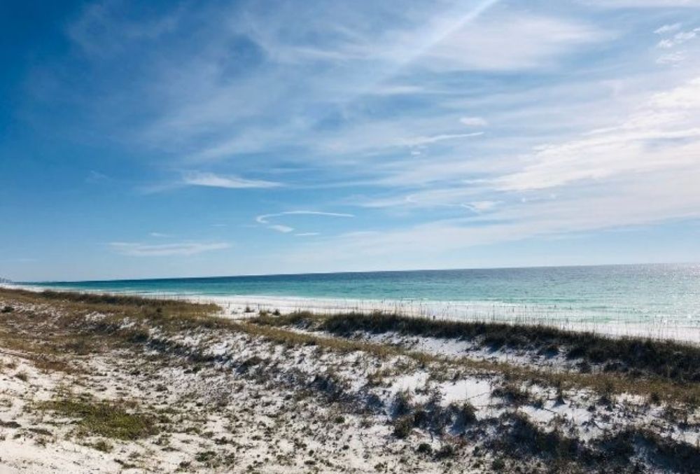 beautiful beaches at Henderson Beach State Park