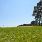 executive golf course at Golf Garden in Destin, FL
