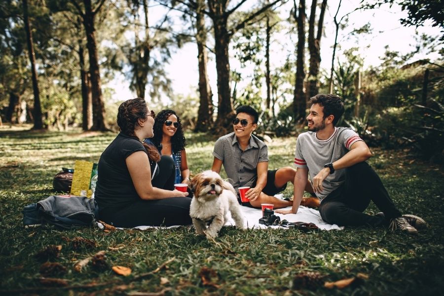 picnic at the park in Destin, FL